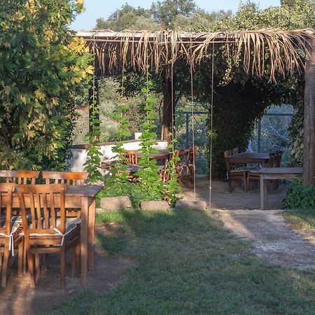 Zeytinbagi Hotel Gure Екстериор снимка